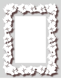 Poinsettias with Drop Shadow on Gray Frame