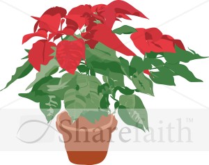 Potted%20Poinsettia%20Plant