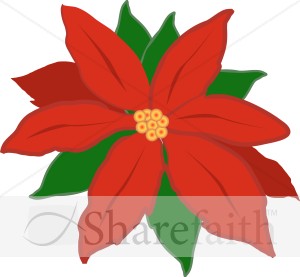 Red%20Poinsettia%20Flower