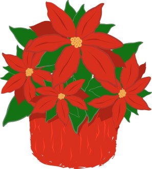 Red Poinsettia Plant