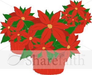 Trio%20of%20Poinsettia%20Plants