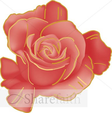 Rose Beginning to Open