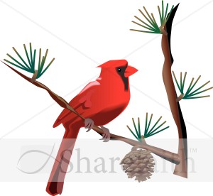 Red Cardinal on Branch