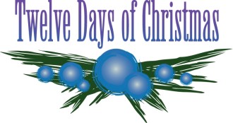 Twelve Days of Christmas Berry Branch