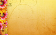 Floral Border Free Twitter Background