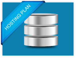 Hosting Plan