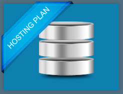 Hosting Plan